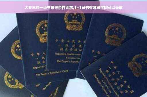 大专三加一证书报考条件要求,3+1证书有哪些学院可以录取