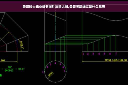 央音硕士毕业证书图片高清大图,央音考级通过是什么意思 央音硕士毕业证书图片高清大图,央音考级通过是什么意思