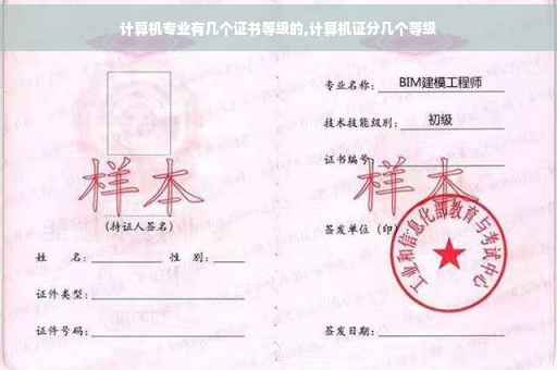 计算机专业有几个证书等级的,计算机证分几个等级