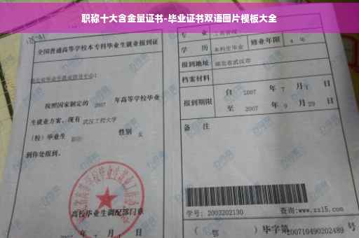 职称十大含金量证书-毕业证书双语图片模板大全