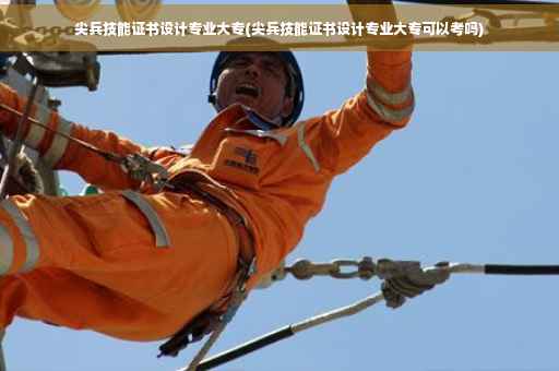 尖兵技能证书设计专业大专(尖兵技能证书设计专业大专可以考吗)
