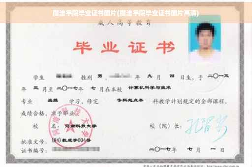 魔法学院毕业证书图片(魔法学院毕业证书图片高清)