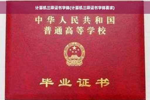 计算机三级证书字体(计算机三级证书字体要求)