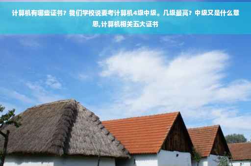 计算机有哪些证书？我们学校说要考计算机4级中级。几级最高？中级又是什么意思,计算机相关五大证书