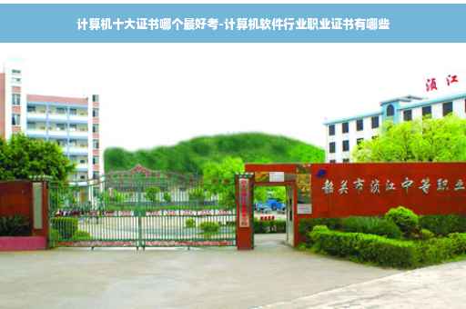 计算机十大证书哪个最好考-计算机软件行业职业证书有哪些