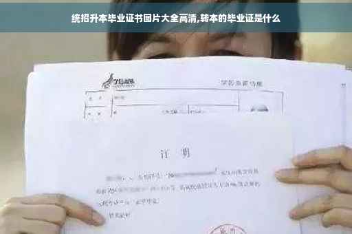 统招升本毕业证书图片大全高清,转本的毕业证是什么