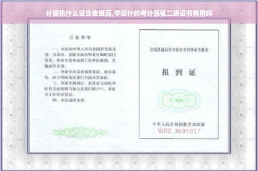 计算机什么证含金量高,学设计的考计算机二级证书有用吗