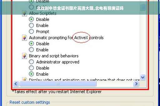 北戏附中毕业证书图片高清大图,北电有导演证吗