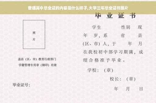 普通高中毕业证的内容是什么样子,大学三年毕业证书图片