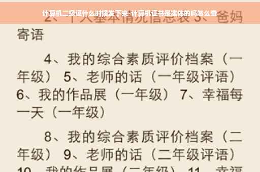 计算机二级证什么时候发下来-计算机证书是实体的吗怎么查