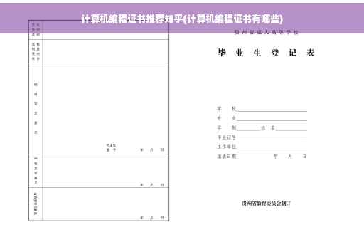 计算机编程证书推荐知乎(计算机编程证书有哪些)