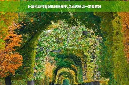 计算机证书要敲代码吗知乎,企业代码证一定要有吗