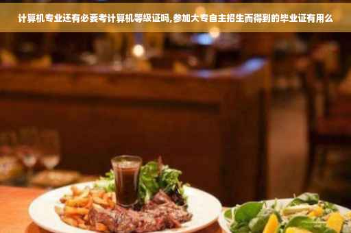 计算机专业还有必要考计算机等级证吗,参加大专自主招生而得到的毕业证有用么