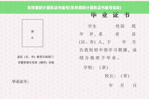 怎样查到计算机证书编号(怎样查到计算机证书编号信息)