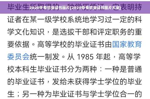 2020中专毕业证书图片(2020中专毕业证书图片大全)