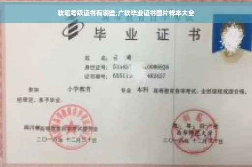 软笔考级证书有哪些,广软毕业证书图片样本大全