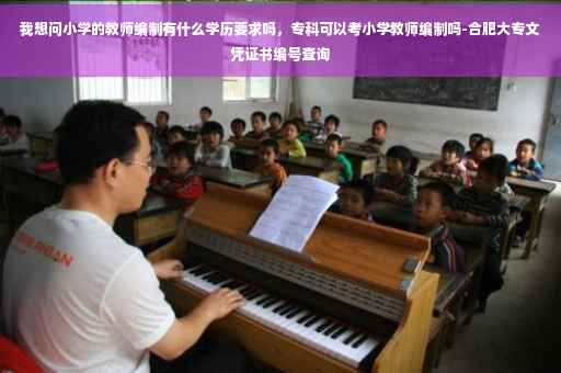 我想问小学的教师编制有什么学历要求吗，专科可以考小学教师编制吗-合肥大专文凭证书编号查询