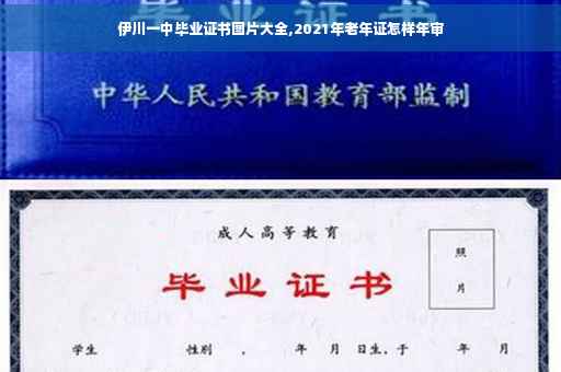伊川一中毕业证书图片大全,2021年老年证怎样年审