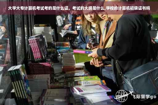大学大专计算机考试考的是什么证，考试的大纲是什么,学校的计算机初级证书吗