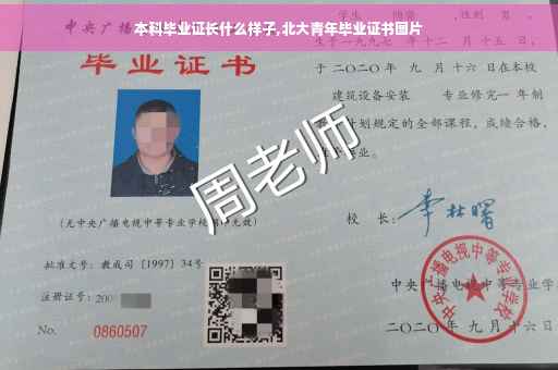 本科毕业证长什么样子,北大青年毕业证书图片