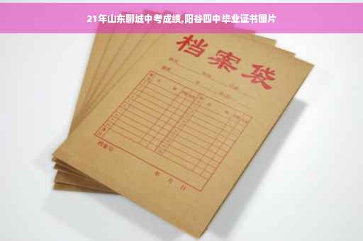 21年山东聊城中考成绩,阳谷四中毕业证书图片