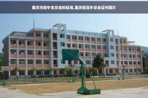 重庆市初中生毕业的标准,重庆初高中毕业证书图片