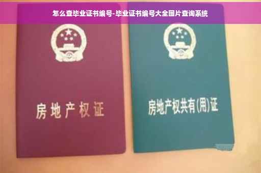 怎么查毕业证书编号-毕业证书编号大全图片查询系统
