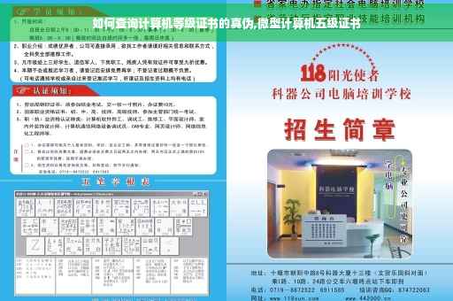 如何查询计算机等级证书的真伪,微型计算机五级证书