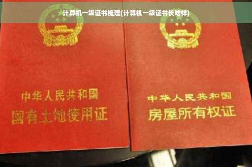 计算机一级证书梳理(计算机一级证书长啥样)