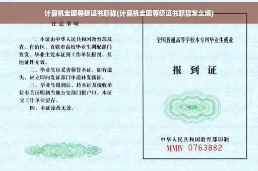计算机全国等级证书职称(计算机全国等级证书职称怎么填)