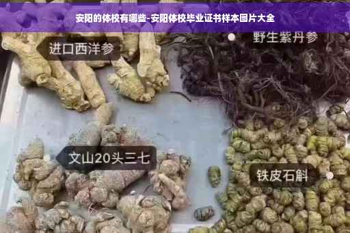 安阳的体校有哪些-安阳体校毕业证书样本图片大全