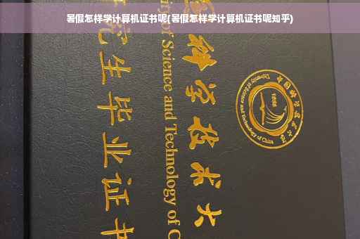 暑假怎样学计算机证书呢(暑假怎样学计算机证书呢知乎)