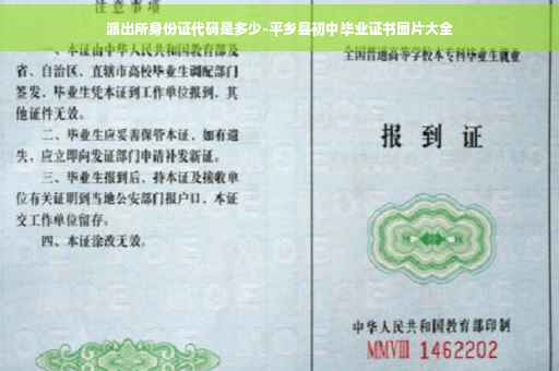派出所身份证代码是多少-平乡县初中毕业证书图片大全