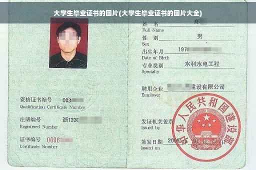大学生毕业证书的图片(大学生毕业证书的图片大全)