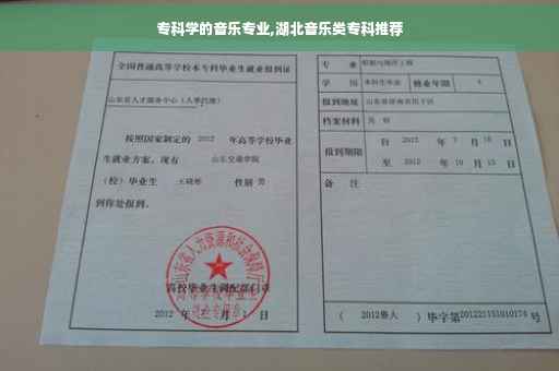 专科学的音乐专业,湖北音乐类专科推荐