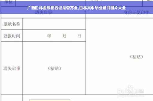 广西田林金辰郡五证是否齐全,田林高中毕业证书图片大全