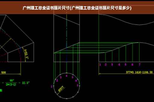 广州理工毕业证书图片尺寸(广州理工毕业证书图片尺寸是多少)