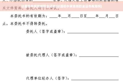计算机中级资格职业证书(计算机中级资格职业证书有用吗)