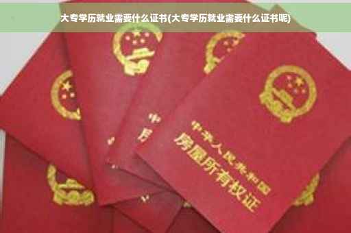 大专学历就业需要什么证书(大专学历就业需要什么证书呢)