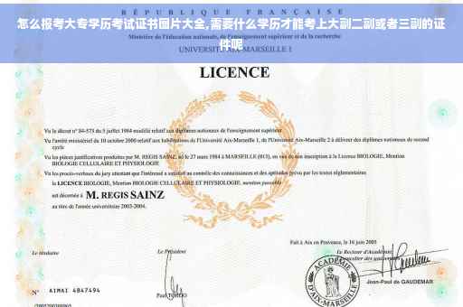 怎么报考大专学历考试证书图片大全,需要什么学历才能考上大副二副或者三副的证件呢