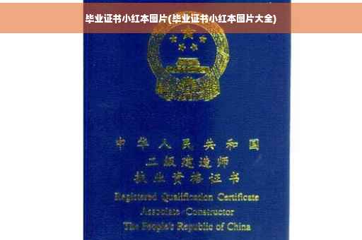 毕业证书小红本图片(毕业证书小红本图片大全)