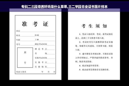 专科二三段培养好吗是什么意思,三二学段毕业证书图片样本