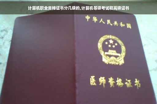 计算机职业资格证书分几级的,计算机等级考试和高级证书
