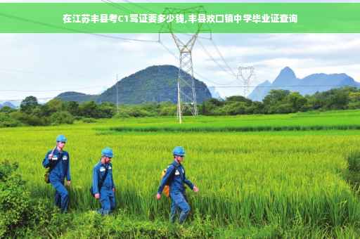 在江苏丰县考C1驾证要多少钱,丰县欢口镇中学毕业证查询