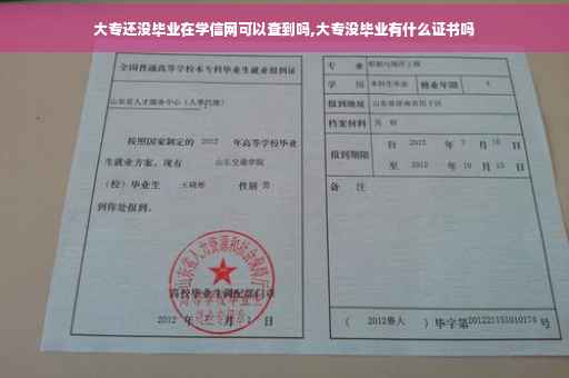 大专还没毕业在学信网可以查到吗,大专没毕业有什么证书吗