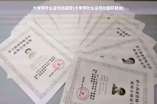 大专学什么证书比较好(大专学什么证书比较好就业)