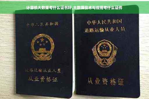 计算机大数据考什么证书好,大数据技术与应用考什么证件