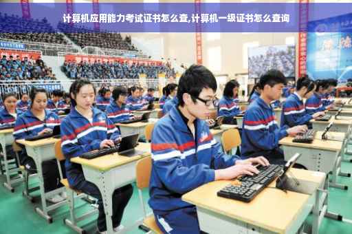 计算机应用能力考试证书怎么查,计算机一级证书怎么查询