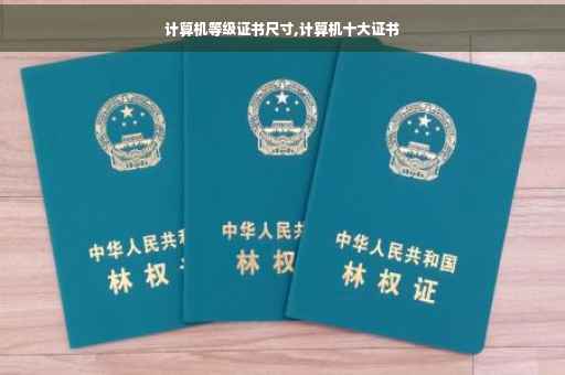 计算机等级证书尺寸,计算机十大证书