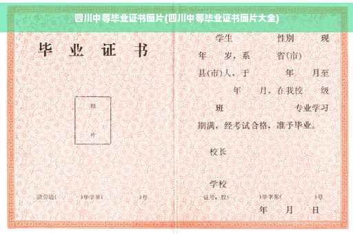 四川中等毕业证书图片(四川中等毕业证书图片大全)